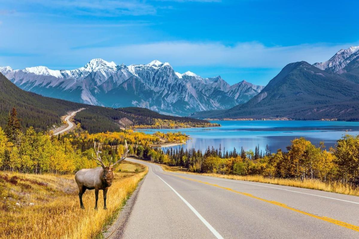 Beautiful Newly Reno 2Bdm 2 Bth Sleep Up To 6 Adults & Kids Mountain View Townhouse Suite Canmore Kültér fotó